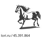 Vector black and white simple stencil of a galloping horse on a white background. Wild unbridled artiodactyl animal. Logo, sticker or emblem. Стоковая иллюстрация, иллюстратор GAlexS / Фотобанк Лори