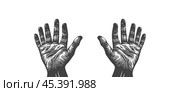 Vector monochrome wrinkled palms with six fingers raised up on a white isolated background. Шестипалый. полидактилия. Стоковая иллюстрация, иллюстратор GAlexS / Фотобанк Лори
