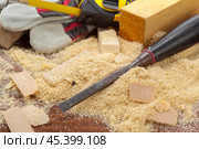 blade of sharp chisels with sawdust. Стоковое фото, фотограф Сергей Толмачёв / Фотобанк Лори