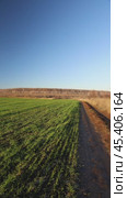 A Lush Green Field Sprawling Beneath a Clear and Beautiful Blue Sky That Inspires Calmness. Стоковое видео, видеограф Victor Kaprov / Фотобанк Лори