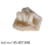 Chalcedony is a cryptocrystalline form of silica, composed of very fine intergrowths of quartz and moganite. Стоковое фото, фотограф Константин Григорьев / Фотобанк Лори