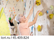 positive muscular retired woman in gym climbing up artificial rock climbing wall. Стоковое фото, фотограф Яков Филимонов / Фотобанк Лори
