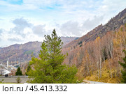 Высокогорный каток "Медео". Осень в горах. Алматы. Казахстан. Стоковое фото, фотограф Александр Тараканов / Фотобанк Лори