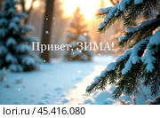 Надпись "Привет, зима" на фоне зимнего леса. Заснеженные ветки деревьев. Стоковое AI-изображение, AI-художник Оксана / Фотобанк Лори