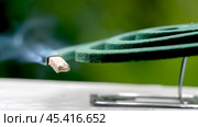 coil against insects and mosquitoes. Стоковое фото, фотограф Igor Skripachev / Фотобанк Лори