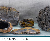 Goethite is a mineral of the diaspore group, consisting of iron oxide-hydroxide. Стоковое фото, фотограф Константин Григорьев / Фотобанк Лори