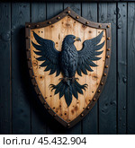 An ancient shield with the image of a black raven. Стоковое AI-изображение, AI-художник RamA / Фотобанк Лори