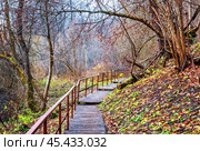 Казанская Амвросиевская женская пустынь, Казанский собор, источник, купель, святой источник, Шамордино, Козельск. Стоковое фото, фотограф Baturina Yuliya / Фотобанк Лори
