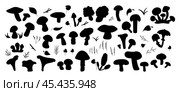 Vector black silhouette forest mushrooms edible and inedible different types. Forest herbs, leaves. Стоковая иллюстрация, иллюстратор Оксана Марышева / Фотобанк Лори