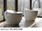 Two modern toilets by window overlooking forest. Стоковое AI-изображение, AI-художник Иван Рябоконь / Фотобанк Лори