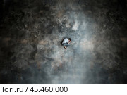 Lonely man huddled in a huge empty space. View from above. Стоковое AI-изображение, AI-художник Дмитрий Киселёв / Фотобанк Лори