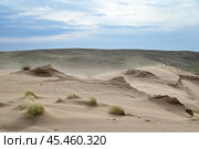 Барханы Копчагайской пустыни. Казахстан. Стоковое фото, фотограф Александр Тараканов / Фотобанк Лори