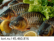 Common carp fish on ice, lettuce and lemon slices. Group of raw fish served on the ice cubes, fish at the market. Sale of sea fish. Advertising banner layout for seafood store. Crucian carp, goldfish. Стоковое AI-изображение, AI-художник Марина Демидюк / Фотобанк Лори
