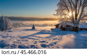 Winter landscape. A rustic house in the snowdrifts. Trees in the snow and frost. An atmosphere of peace and harmony with nature. Rural life. Стоковое AI-изображение, AI-художник Photojuli / Фотобанк Лори