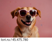 Funny dog with glasses on pink background in studio. Стоковое AI-изображение, AI-художник Ирина Старикова / Фотобанк Лори