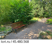 Парк усадьбы Кучук-Ламбат, поселок Утес, Крым (2023 год). Стоковое фото, фотограф Мария Кылосова / Фотобанк Лори