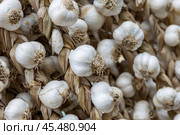 Румыния. Бухарест. Связки чеснока подаются на рынке. Romania. Bucharest. Bundles of garlic are served at the market. Стоковое фото, фотограф Алексей Смышляев / Фотобанк Лори