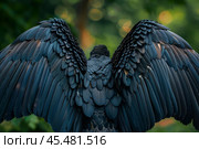 Majestic black bird showing incredible wingspan in nature. Стоковое AI-изображение, AI-художник Иван Рябоконь / Фотобанк Лори