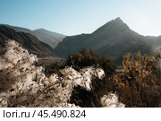 Горный пейзаж с пушистыми растениями. Стоковое фото, фотограф Наталия Дмитриева / Фотобанк Лори