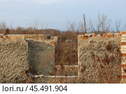 Руины кирпичного здания среди природы. Стоковое фото, фотограф Евгений Чумичев / Фотобанк Лори