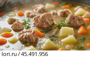 Hot stew simmering with vegetables and herbs. Стоковое AI-видео, аниматор Юрий Поздников / Фотобанк Лори