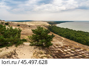 View of Cape Grabst from observation deck on Olenya Buda dunes. Curonian Spit National Park. Russia (2021 год). Редакционное фото, фотограф Elena Odareeva / Фотобанк Лори