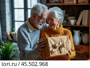 An excited senior couple smiles broadly as they unbox a carefully wrapped gift received from relatives abroad, cherishing this joyful moment together. Стоковое AI-изображение, AI-художник Sergey Grishin / Фотобанк Лори