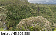 Impenetrable thickets of lush green tropical vegetation are visible from the observation deck. A waterfall among the greenery. Clouds in the sky. Mauritius. Alexandra Falls (2024 год). Стоковое фото, фотограф Вера Ивановна Кубарева / Фотобанк Лори