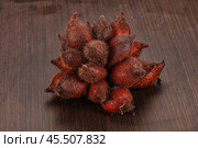 Sweet tropical exotic fruit - sala. Стоковое фото, фотограф Андрей Старостин / Фотобанк Лори