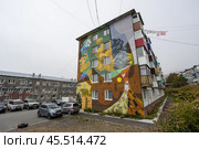 Граффити "Лик природы", город Петропавловск-Камчатский, Камчатский край, Россия. Вид на красивый мурал на стене панельного здания. Большое граффити с изображением вулкана и портрета женщины. Городской двор в жилом квартале. На верёвках сушится бельё. Около дома припаркованы машины. Повседневная жизнь в регионах. Дальний Восток России. Редакционное фото, фотограф Андрей Степанов / Фотобанк Лори