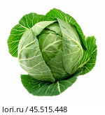 Fresh green cabbage with intact leaves isolated on white background. Стоковое AI-изображение, AI-художник Иван Рябоконь / Фотобанк Лори