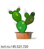 Vector illustration of a green decorative cactus Prickly pear plant in a brown pot isolated on a white background. Стоковая иллюстрация, иллюстратор Татьяна Куклина / Фотобанк Лори