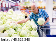 Elderly retired man buying cabbages in grocery department of the supermarket. Стоковое фото, фотограф Татьяна Яцевич / Фотобанк Лори