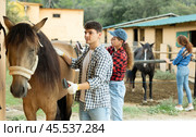 Male worker in plaid shirt combs tethered horse in stable. Стоковое фото, фотограф Яков Филимонов / Фотобанк Лори