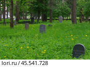 Старое финское кладбище, Сортавала, Карелия (2019 год). Редакционное фото, фотограф Алексей Иванов / Фотобанк Лори