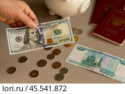 Заграничный паспорт, бумажные и металлические деньги, свинья копилка. Стоковое фото, фотограф Оксана Шведкова / Фотобанк Лори