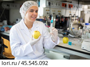 Female geneticist working in laboratory, injecting additives into apple during experiments with genetically modified apple. Стоковое фото, фотограф Яков Филимонов / Фотобанк Лори