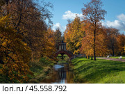 Cross bridge (Krestovy bridge) in the Alexander Park of Tsarskoye Selo on a sunny autumn day, Pushkin, St. Petersburg, Russia. Стоковое фото, фотограф Ula Ulachka / Фотобанк Лори