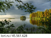 Остров на Вышневолоцком водохранилище. Стоковое фото, фотограф Сергей / Фотобанк Лори