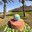 Urban sculpture in Ashdod park. Circular bench with a globe in the center in mosaic technique. Редакционное фото, фотограф Irina Opachevsky / Фотобанк Лори