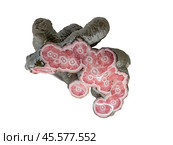 Rhodochrosite is a manganese carbonate mineral with chemical composition MnCO3. Стоковое фото, фотограф Константин Григорьев / Фотобанк Лори