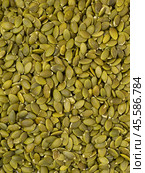 Photograph of a pile or stack of hulled pumpkin seeds without shell isolated on white background. Стоковое фото, фотограф Евгения Трушкова / Фотобанк Лори