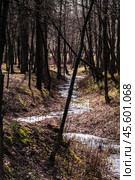 Spring creek in the park in eastern europe. Warm spring temperatures and remains of melting snow. Spring streams in a ditch. Стоковое фото, фотограф Константин Григорьев / Фотобанк Лори