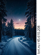 Scenery of scandinavian winter road in night forest at Finland Karelia, blue moonlight, starry sky. Wintertime landscape, amazing nature view. Seasonal winter serene scene concept. Copy ad text space. Стоковое AI-изображение, AI-художник Aleksandr Golubev / Фотобанк Лори