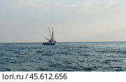 Черное   море, Краснодарский край, Туапсинский , Бухта Михайловская, (2023 год). Стоковое фото, фотограф Александр Циликин / Фотобанк Лори