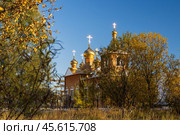Церковь Богоявления Господня, посёлок Ола, Магаданская область, Дальний Восток России. Вид на здание православного храма с золотыми куполами и крестами. Кресты сверкают на солнце. Безоблачное голубое небо. Красивый осенний пейзаж. Кусты с желтыми листьями. Размытый передний план. Стоковое фото, фотограф Андрей Степанов / Фотобанк Лори