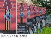 Орден мужества: Аллея славы героев Чеченской войны в Симферополе. Редакционное фото, фотограф Snezka / Фотобанк Лори