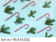 Christmas candy cane lied evenly in row on blue background. Xmas pattern. Стоковое фото, фотограф Светлана Лажко / Фотобанк Лори