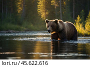 A brown bear is fishing in a river in the forest against the background of sunset. Стоковое AI-изображение, AI-художник Александр Поташев / Фотобанк Лори