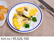 Homemade breakfast or brunch meal - Tasty mushroom omlette on plate, overhead view. Стоковое фото, фотограф Яков Филимонов / Фотобанк Лори